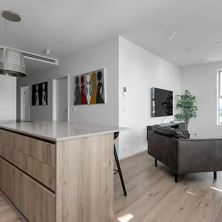 Spacious Luxury 3Br Apartment With 2 Bathrooms 1003 Reykjavík Eksteriør billede