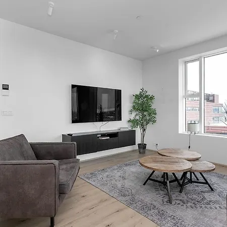 Spacious Luxury 3Br Apartment With 2 Bathrooms 1003 Reykjavík Eksteriør billede